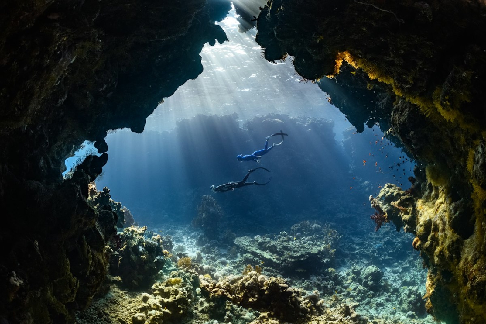 A diver swimming through an underwater reef