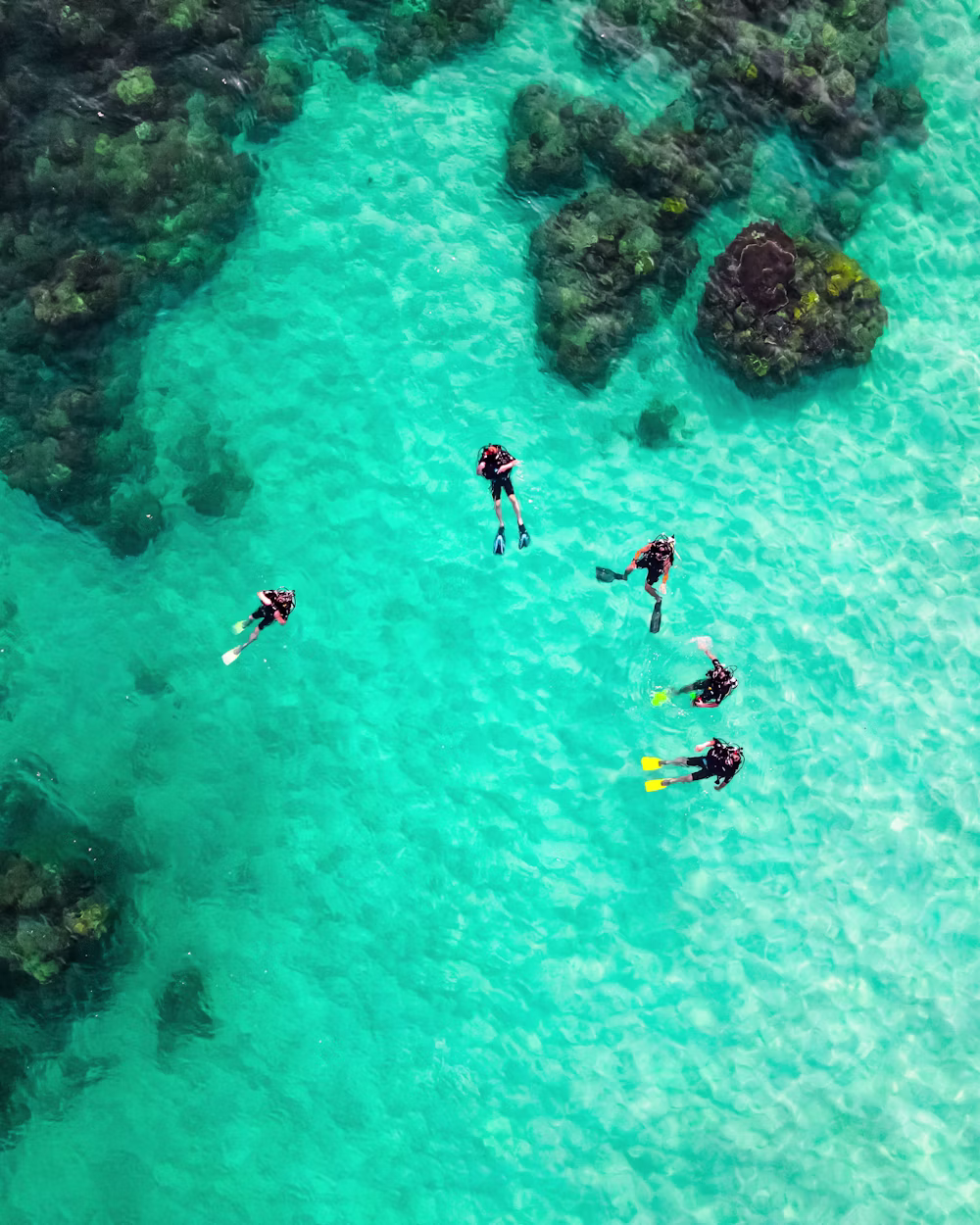 Divers exploring clear coastal waters