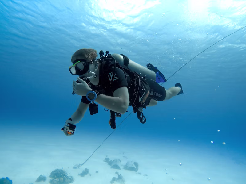 Two divers exploring underwater together